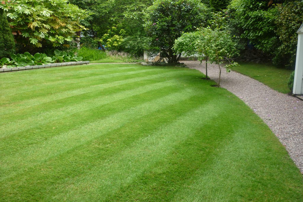 Curved-Ornamental-Lawn-1024x768